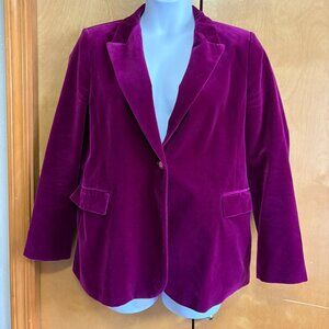 Velvet Zara Blazer